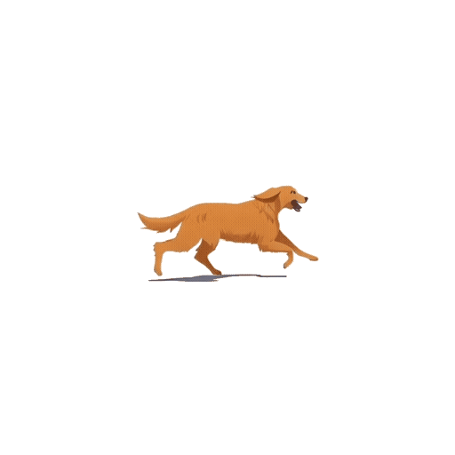 dog-7011_512